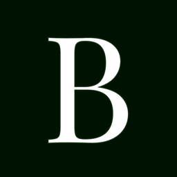 Brandellio AI